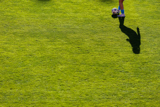 Skugga från en Malmö FFs spelare