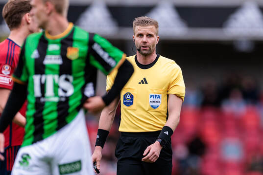 Domare Glenn Nyberg