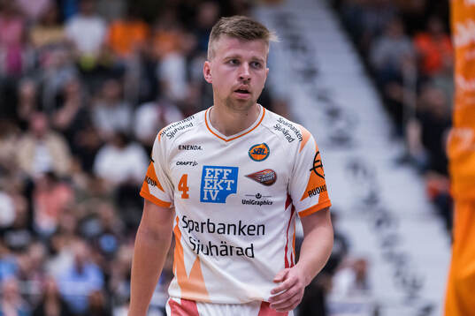 Borås Ludvig Johansson