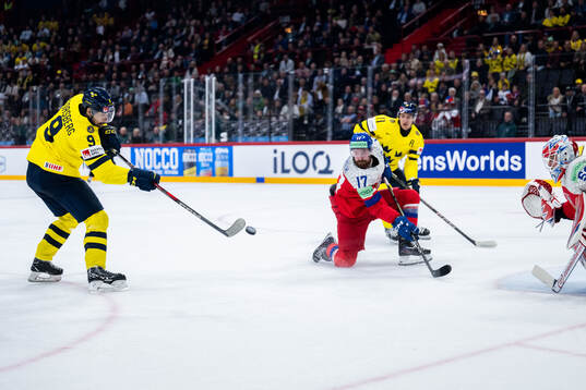 Filip Forsberg of Sweden and Karel Vejmelka of Czech Republic