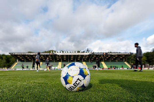 En fotboll
