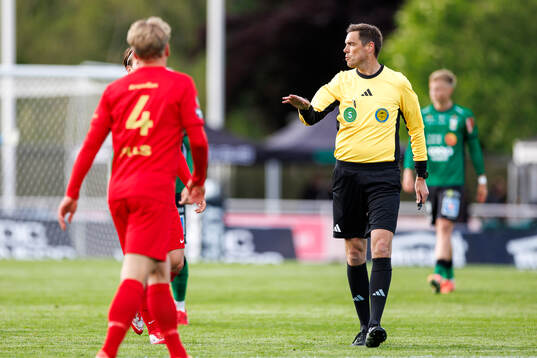 Domare Magnus Lindgren