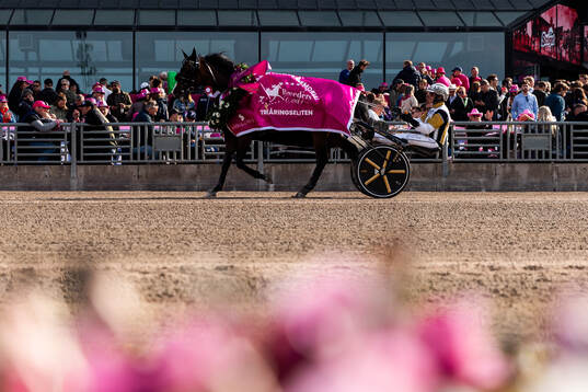 Per Nordström with horse Wise Guy