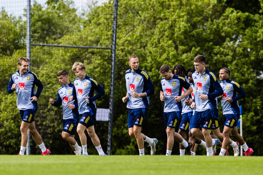Players of the Swedish men's national football team