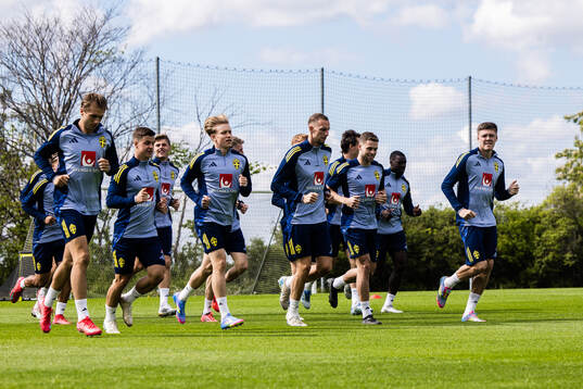 Players of the Swedish men's national football team