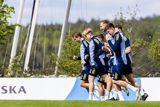 Players of the Swedish men's national football team