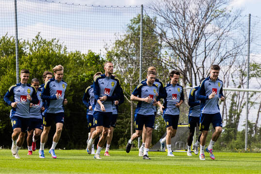 Players of the Swedish men's national football team