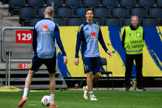 John Mellberg of the Swedish men's national football team