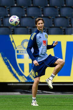 John Mellberg of the Swedish men's national football team