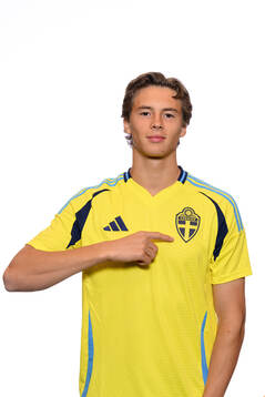 John Mellberg of the Swedish men's national football team