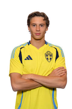 John Mellberg of the Swedish men's national football team