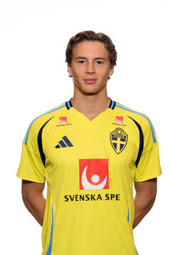 John Mellberg of the Swedish men's national football team