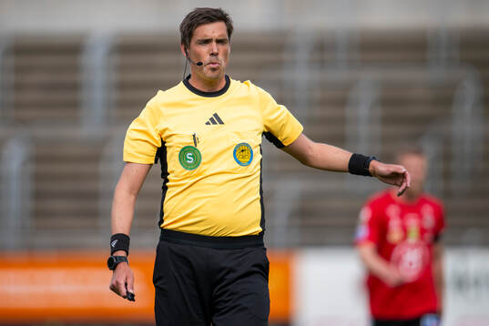 Domare Magnus Lindgren