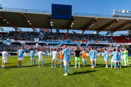 Malmö FFs spelare jublar med supportrarna