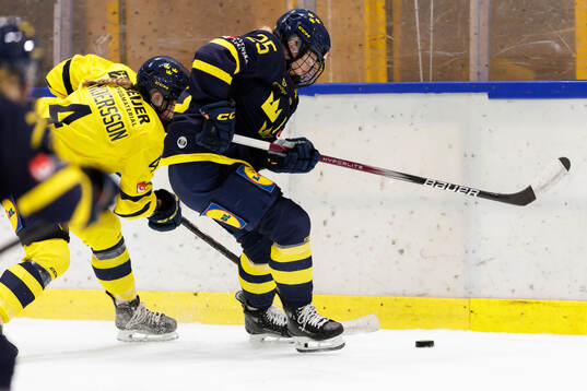 Linnea Andersson and Lina Ljungblom