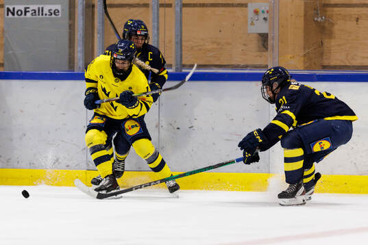 Wilma Sundin, Anna Kjellbin and Lova Blom