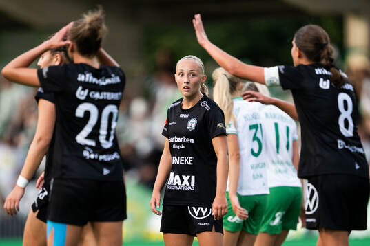 Alingsås Saga Fredgren