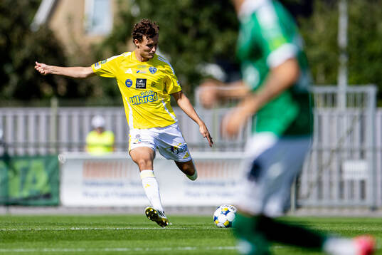 Falkenbergs Alexander Salo