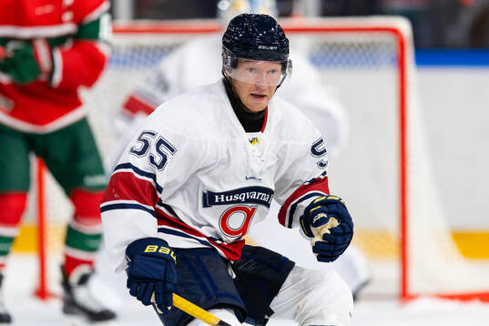 HV71s Andreas Borgman