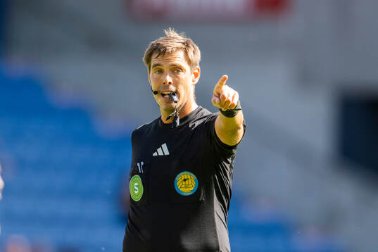 Domare Magnus Lindgren