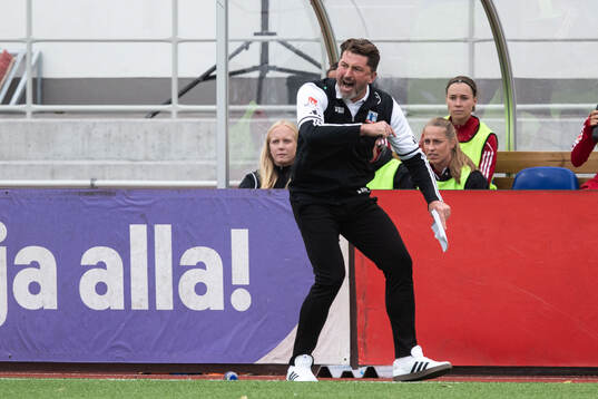 Vittsjös tränare Mladen Blagojevic