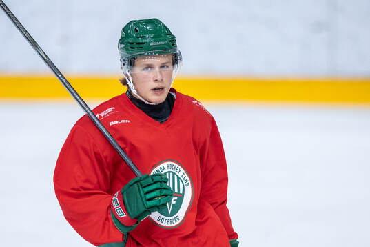 Bla gjennom flere bilder av Ishockey, SHL, Frölunda, träning