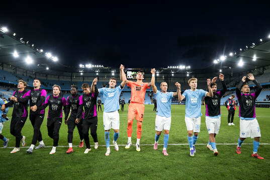 Colin Rösler, Robin Olsen, Arnor Sigurdsson, and Hugo