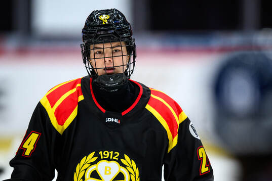 Brynäs Sara Cajanova