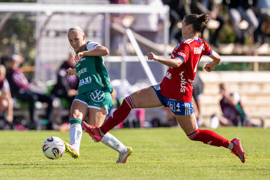 Alingsås Saga Fredgren