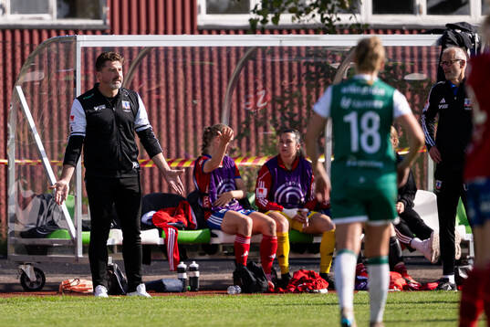 Vittsjös tränare Mladen Blagojevic blir varnad