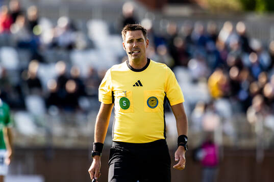 Domare Magnus Lindgren