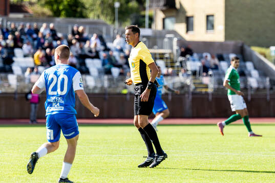 Domare Magnus Lindgren