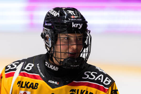 Luleås Jaycee Magwood