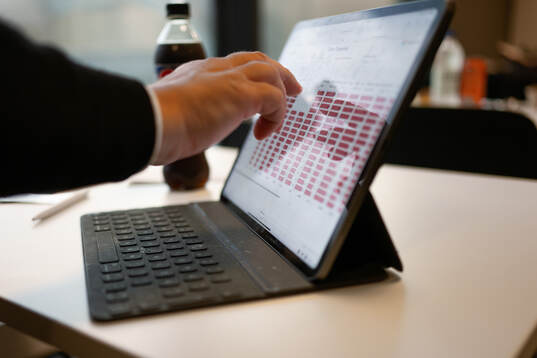 MAX expert Nordin Gerzic tittar på statistik