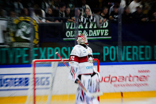 Malmö Redhawks målvakt Daniel Marmenlind