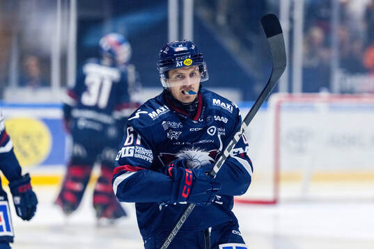 Linköpings Markus Ljungh jublar