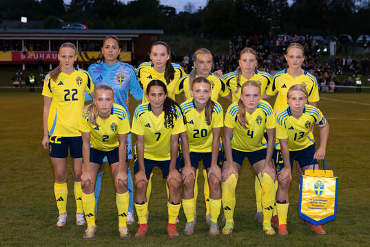 Sveriges spelare ställer upp för en lagbild