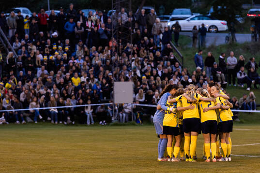 Sveriges spelare samlade