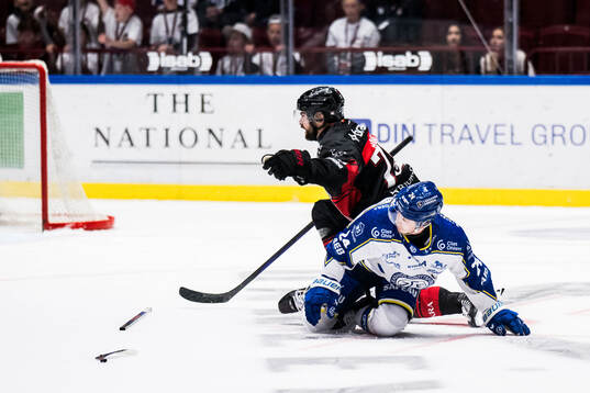 Malmö Redhawks Robin Hanzl och Leksands Arvid Eljas