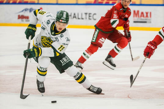 Björklövens Liam Dower Nilsson