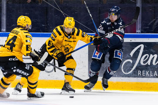 Skellefteås Viktor Grahn och Linköpings Johan Johnsson