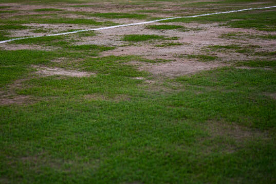 Gräsmatta på Stockholm stadion