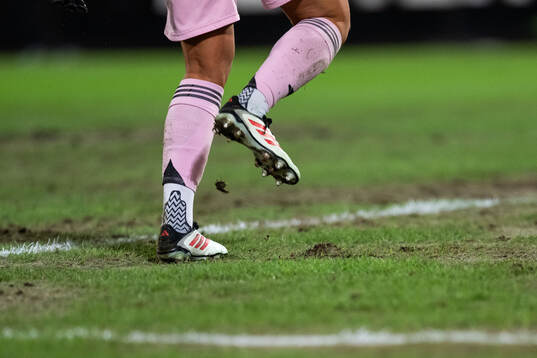 Gräsmatta på Stockholm Stadion