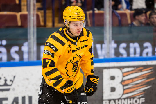 Skellefteås Frans Haara