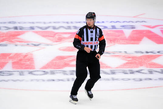 Domare Robin Forslund