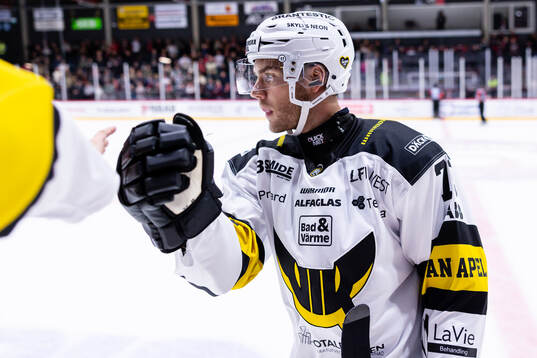 Västerås Anton Gradin jublar