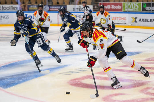 Brynäs Elin Svensson