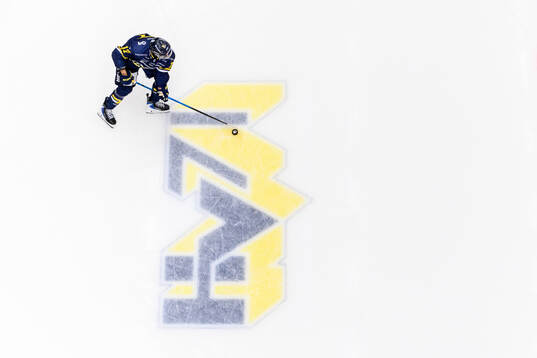 HV71s Isac Brännström