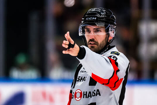 Domare Mattias Enroth