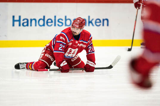 Timrås Ludvig Levinsson